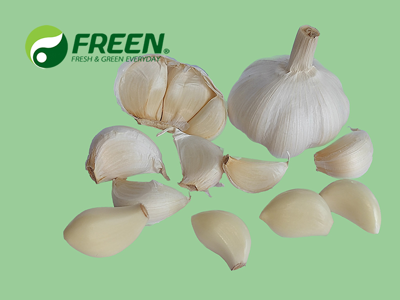 Pure white garlic 04.jpg